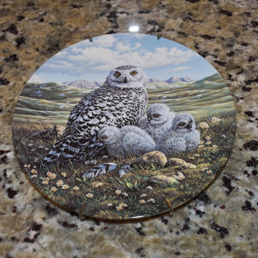 Vintage Snow Owl Collector Plate #277A